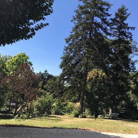 Charmant F1 Avec Terrasse Et Vue Sur Jardin Arbore - Fraicheur Naturelle Du Rez De Jardin - Parking Bellerive-sur-Allier Exterior photo