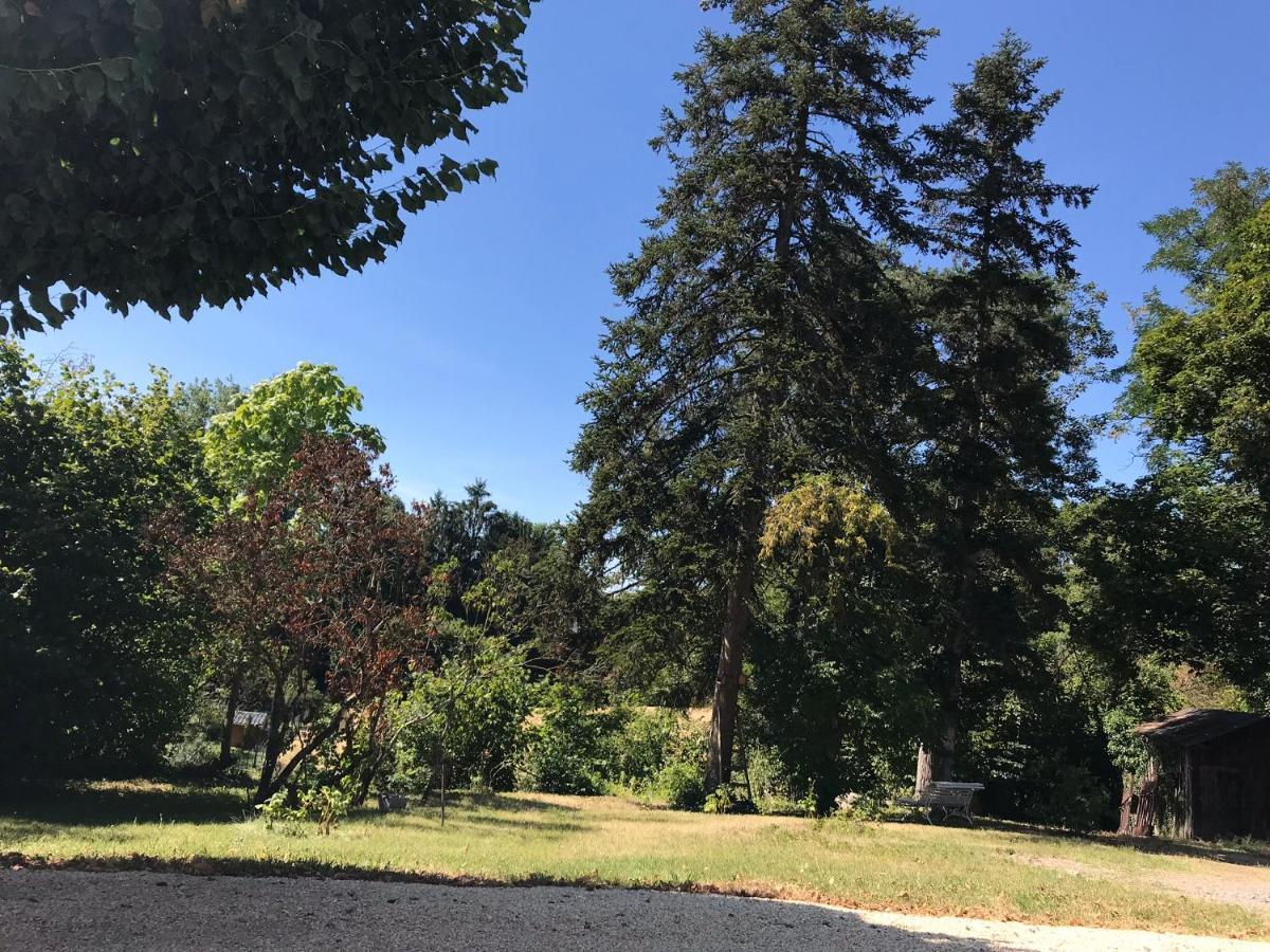 Charmant F1 Avec Terrasse Et Vue Sur Jardin Arbore - Fraicheur Naturelle Du Rez De Jardin - Parking Bellerive-sur-Allier Exterior photo
